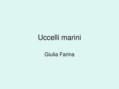 Uccelli marini Giulia Farina.