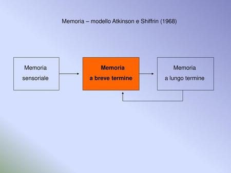 Memoria – modello Atkinson e Shiffrin (1968)