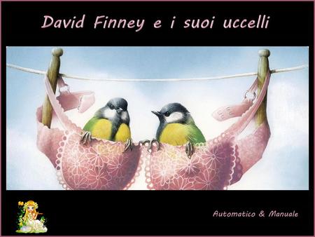 David Finney e i suoi uccelli