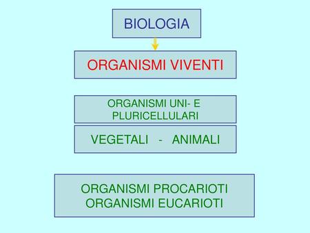 BIOLOGIA ORGANISMI VIVENTI VEGETALI - ANIMALI ORGANISMI PROCARIOTI
