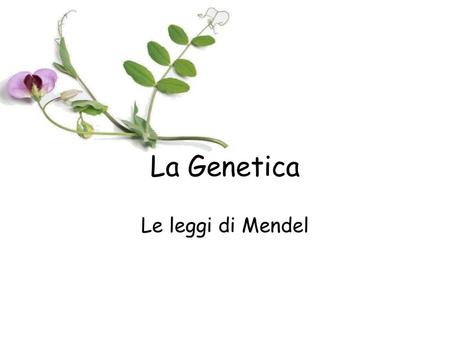 La Genetica Le leggi di Mendel.