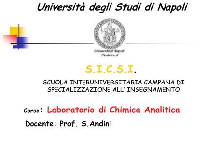 Università degli Studi di Napoli