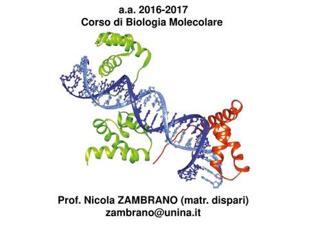Corso di Biologia Molecolare Prof. Nicola ZAMBRANO (matr. dispari)