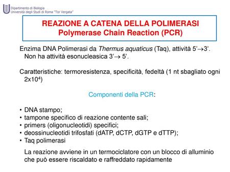 REAZIONE A CATENA DELLA POLIMERASI Polymerase Chain Reaction (PCR)