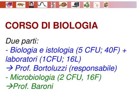 CORSO DI BIOLOGIA Due parti: - Biologia e istologia (5 CFU; 40F) + laboratori (1CFU; 16L)  Prof. Bortoluzzi (responsabile) - Microbiologia (2 CFU, 16F)