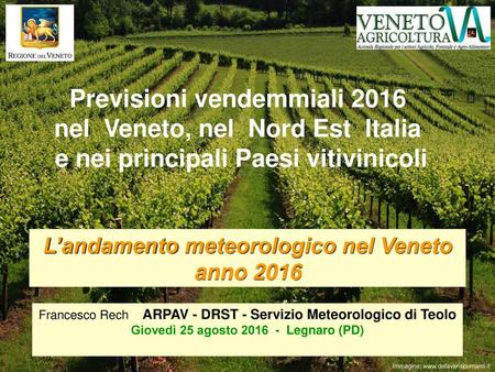 Previsioni vendemmiali 2016 nel Veneto, nel Nord Est Italia