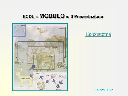 ECDL – MODULO n. 6 Presentazione