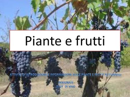 Piante e frutti Attività di introduzione e informazione sulle piante e frutti autunnali iNSEGNATE susy Di Vaio.