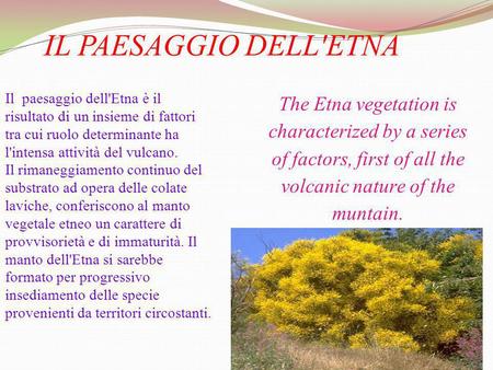 IL PAESAGGIO DELL'ETNA Il paesaggio dell'Etna è il risultato di un insieme di fattori tra cui ruolo determinante ha l'intensa attività del vulcano. Il.