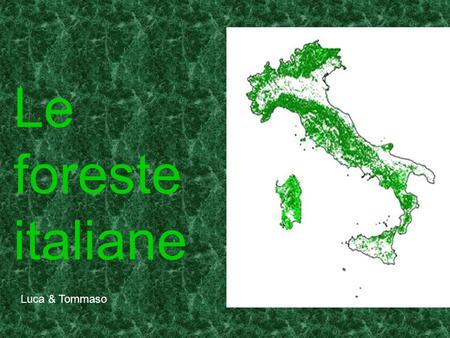 Le foreste italiane Luca & Tommaso. La superficie forestale italiana è di circa 10 milioni di ettari (9,98 milioni), pari ad un terzo del territorio.