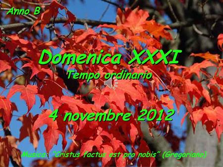 Domenica XXXI 4 novembre 2012 Tempo ordinario Anno B