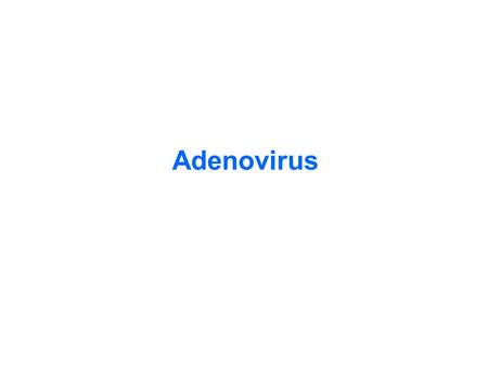 virus provenienti da siti per adulti