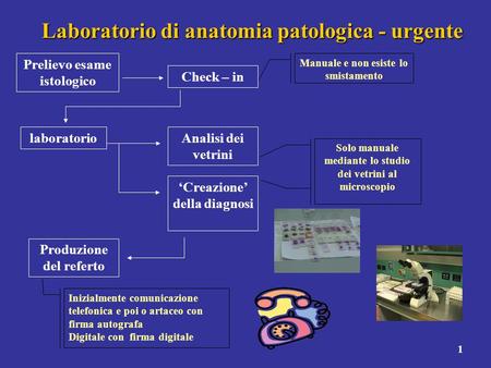 Laboratorio di anatomia patologica - urgente