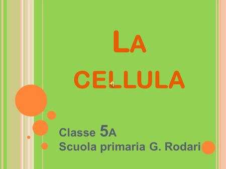 Classe 5A Scuola primaria G. Rodari