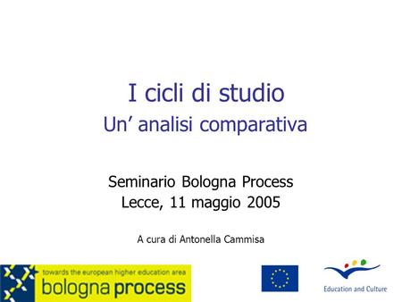 I cicli di studio Un’ analisi comparativa Seminario Bologna Process Lecce, 11 maggio 2005 A cura di Antonella Cammisa.