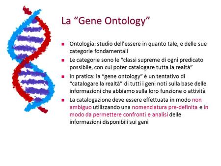 La “Gene Ontology” Ontologia: studio dell’essere in quanto tale, e delle sue categorie fondamentali Le categorie sono le “classi supreme di ogni predicato.