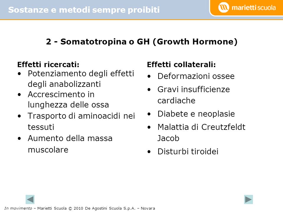 2 - Somatotropina o GH (Growth Hormone)