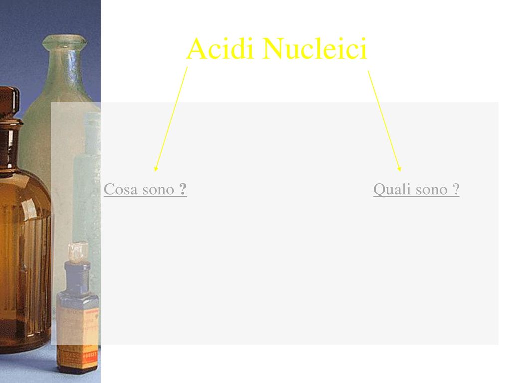 Acidi Nucleici Cosa sono Quali sono