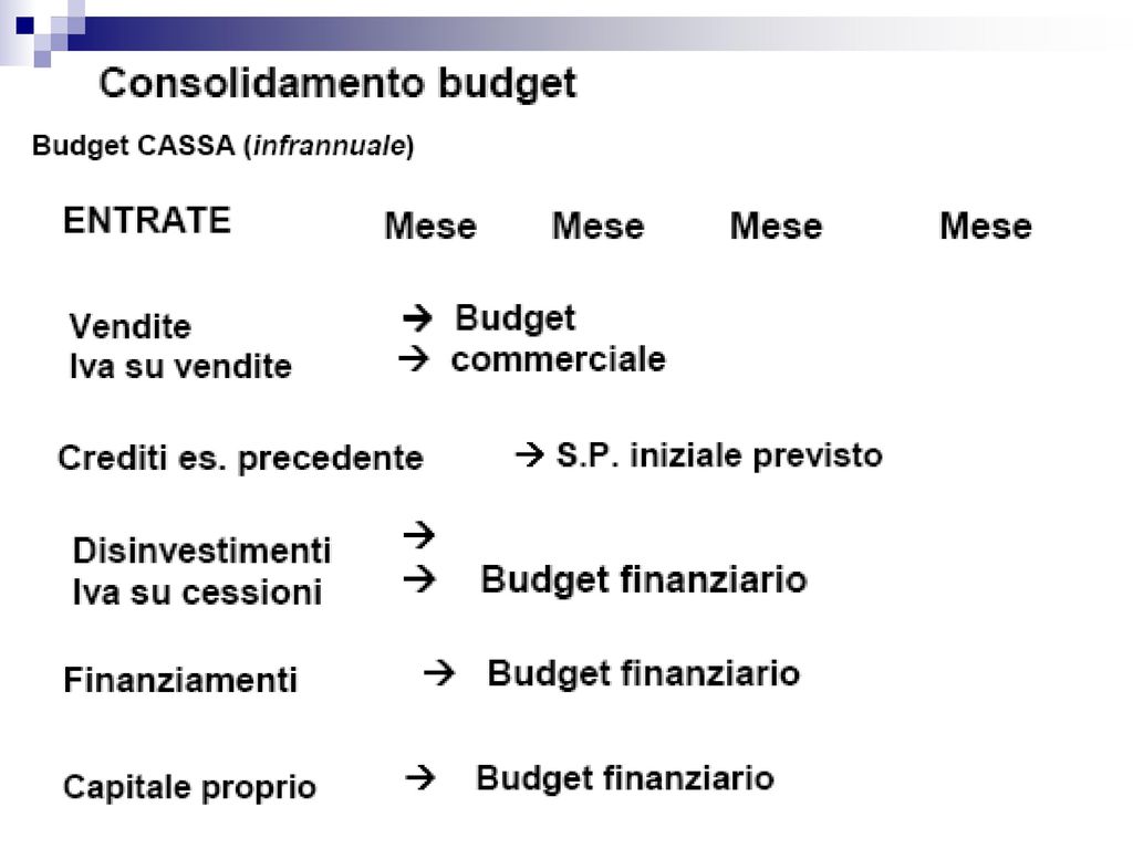 Budget finanziario Fonti - Impieghi