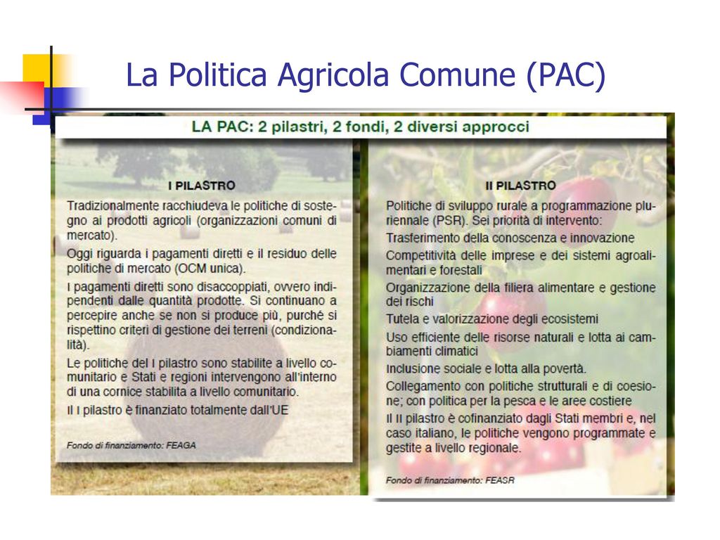 La Politica Agricola Comune (PAC)