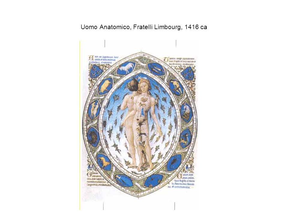 Uomo Anatomico, Fratelli Limbourg, 1416 ca