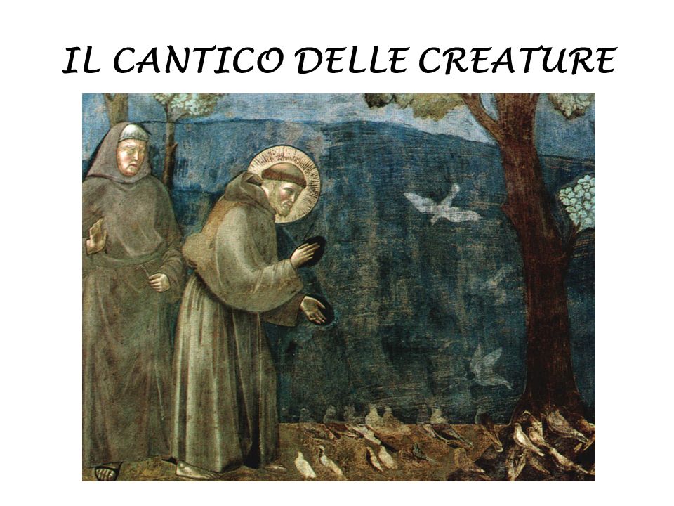 IL CANTICO DELLE CREATURE