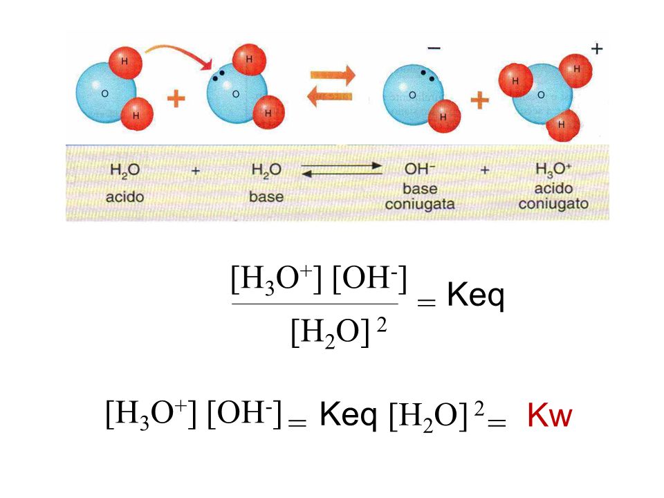 [H3O+] [OH-] [H2O] 2 = Keq [H3O+] [OH-] Keq [H2O] 2 Kw = =