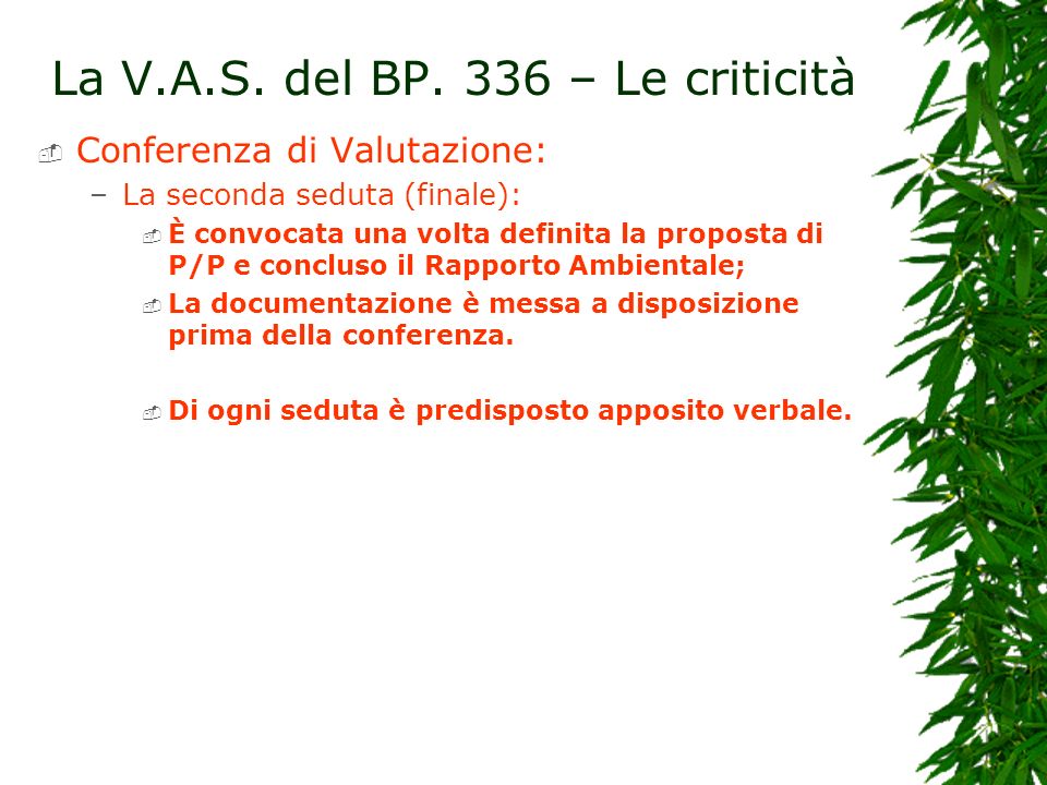 La V.A.S. del BP. 336 – Le criticità