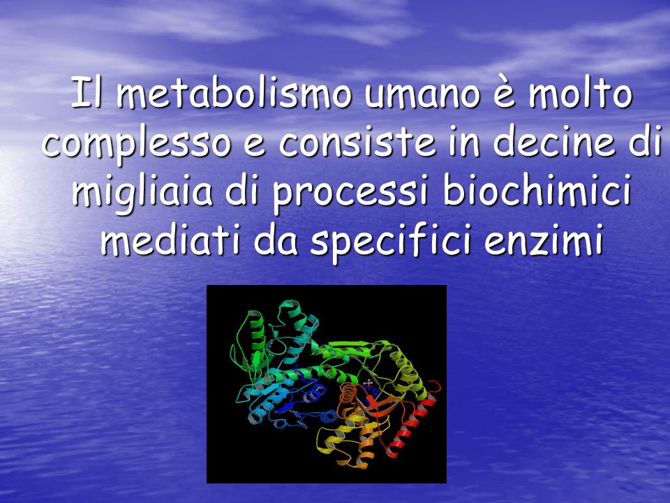 Il metabolismo umano è molto complesso e consiste in decine di migliaia di processi biochimici mediati da specifici enzimi