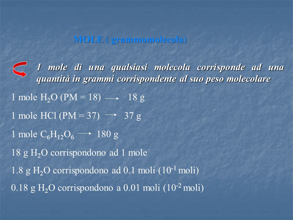 MOLE ( grammomolecola)