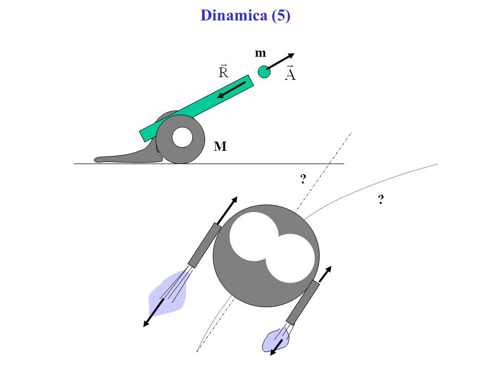 Dinamica (5) m M