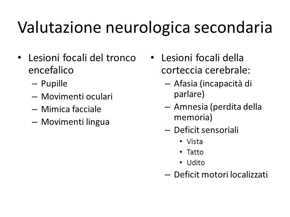Valutazione neurologica secondaria