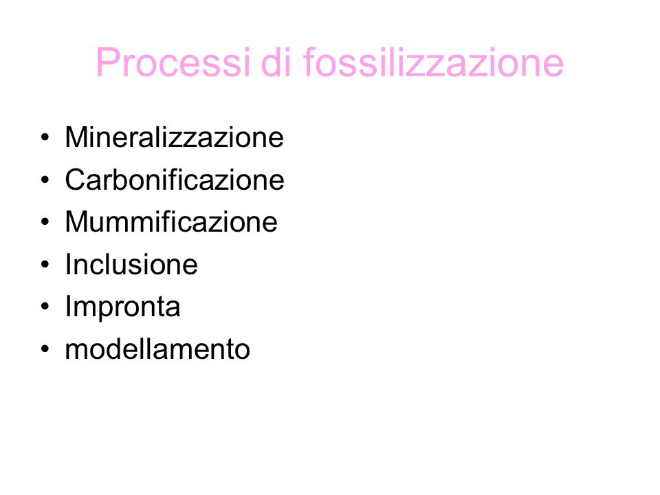 Processi di fossilizzazione