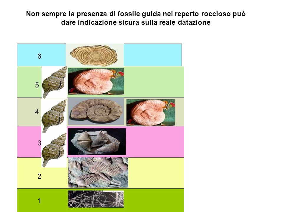 Non sempre la presenza di fossile guida nel reperto roccioso può dare indicazione sicura sulla reale datazione