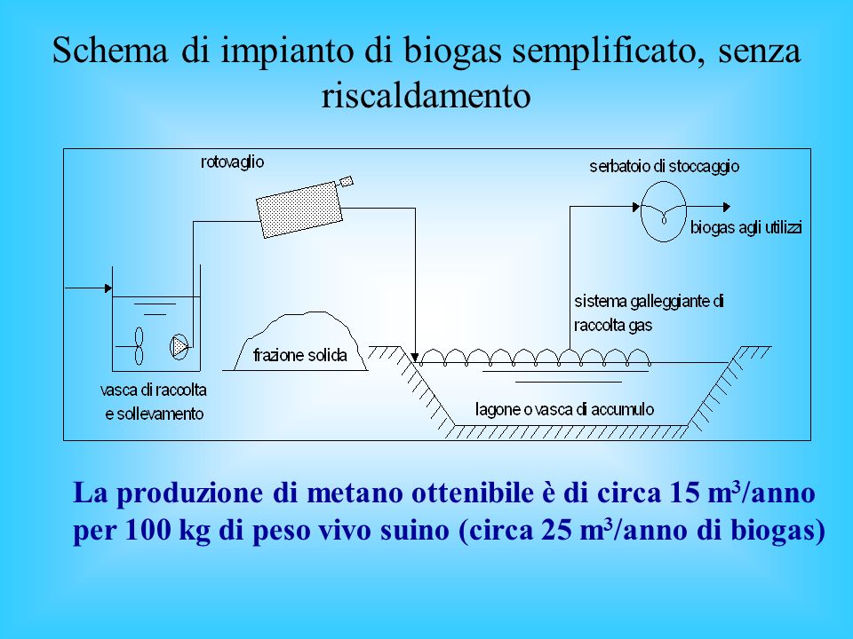 Schema di impianto di biogas semplificato, senza riscaldamento