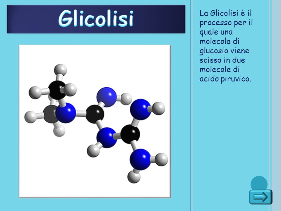 Glicolisi La Glicolisi è il processo per il quale una molecola di glucosio viene scissa in due molecole di acido piruvico.