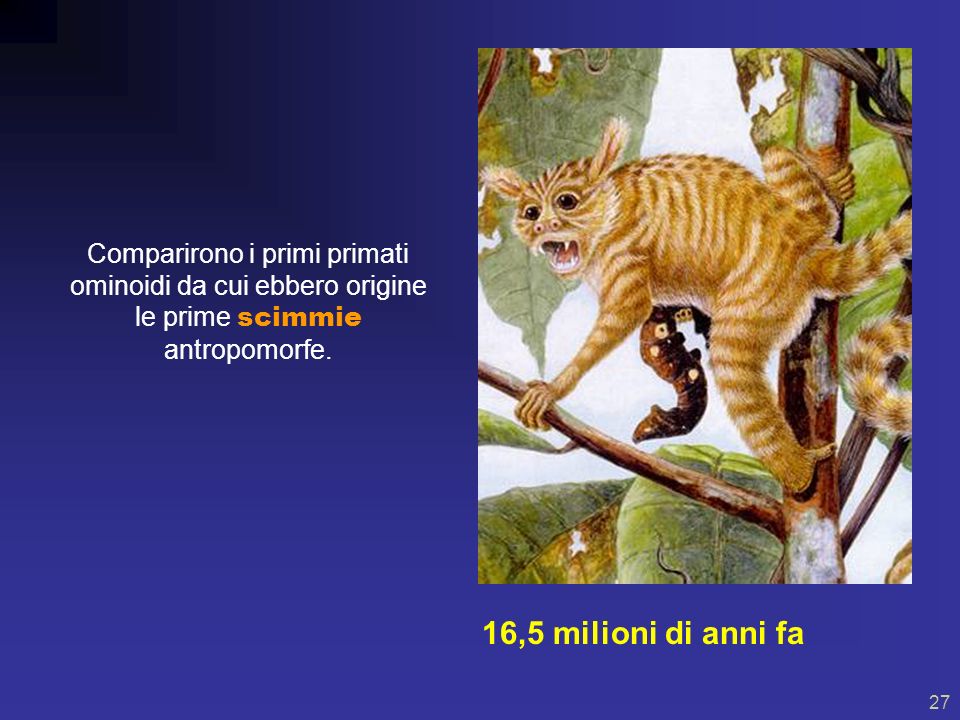 Comparirono i primi primati ominoidi da cui ebbero origine le prime scimmie antropomorfe.