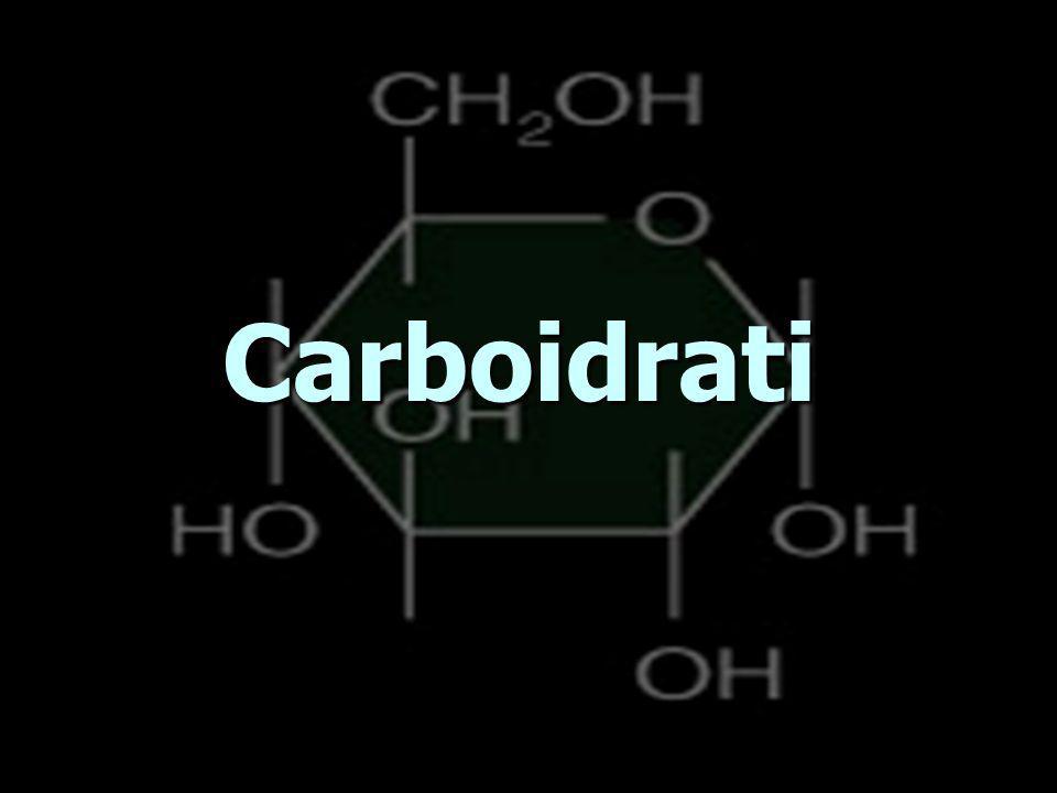 Carboidrati