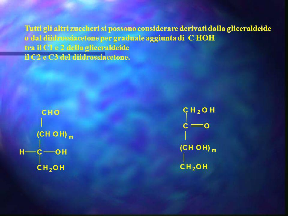 tra il C1 e 2 della gliceraldeide il C2 e C3 del diidrossiacetone.