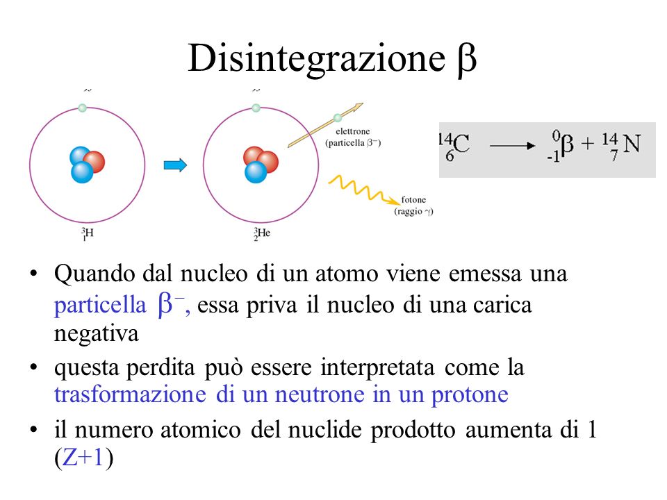 Disintegrazione b Quando dal nucleo di un atomo viene emessa una particella b-, essa priva il nucleo di una carica negativa.