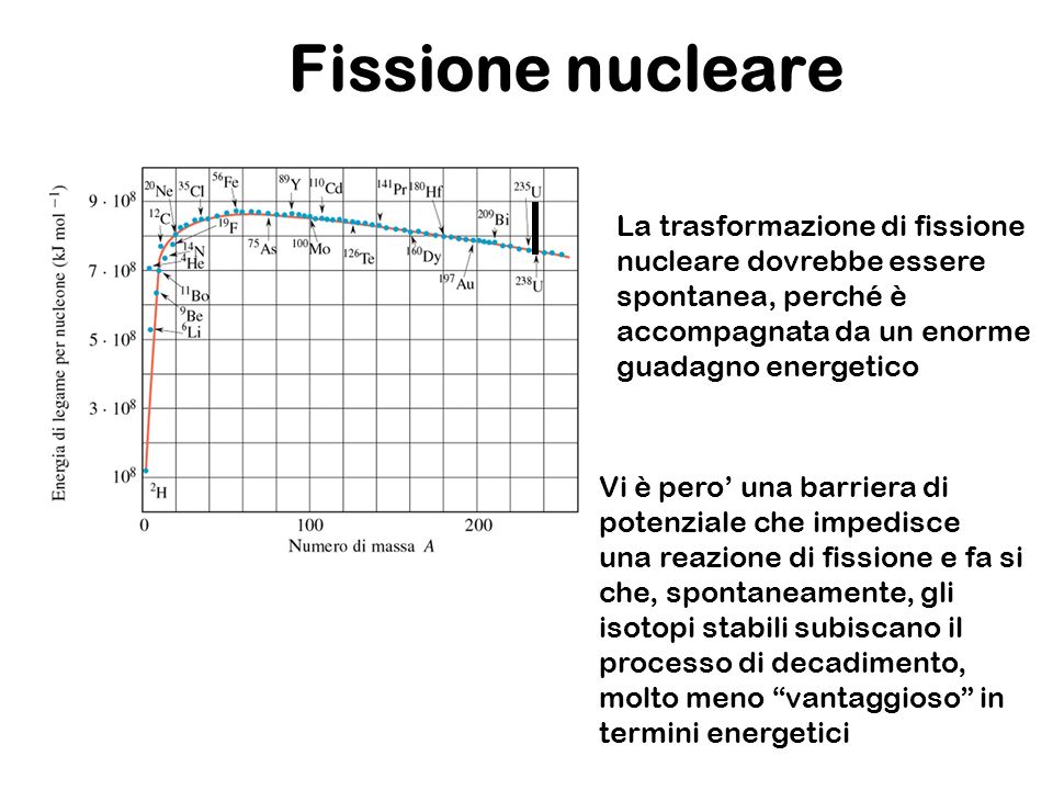 Fissione nucleare La trasformazione di fissione nucleare dovrebbe essere spontanea, perché è accompagnata da un enorme guadagno energetico.