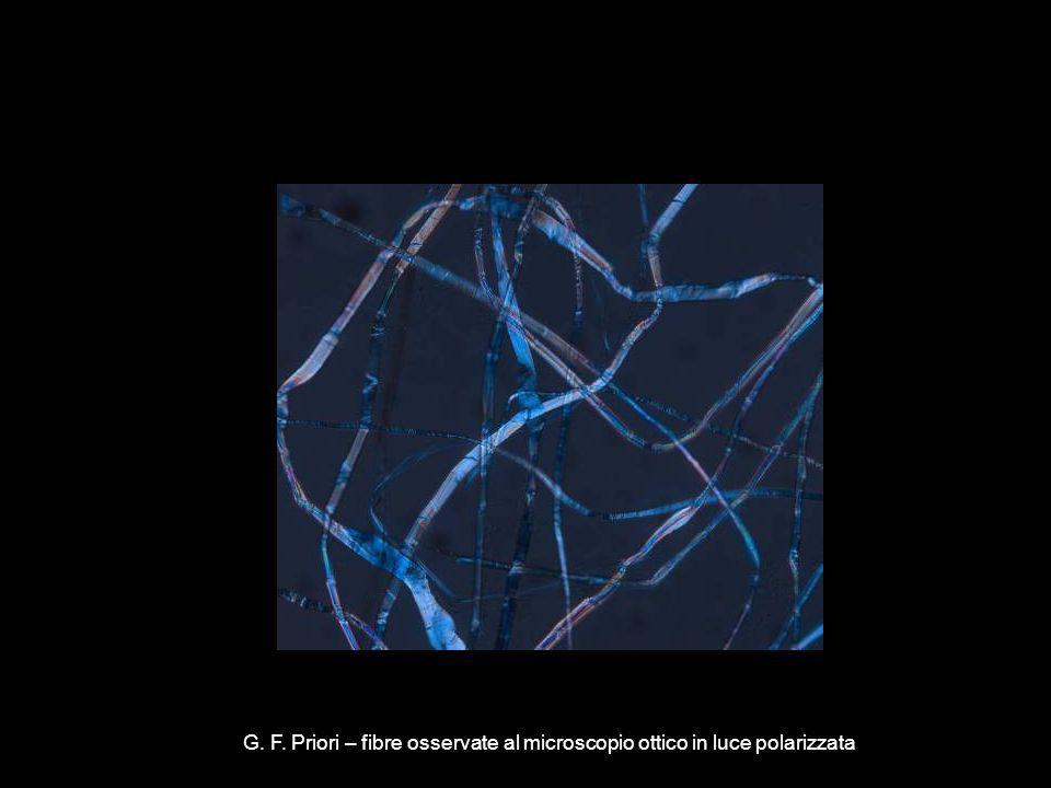 G. F. Priori – fibre osservate al microscopio ottico in luce polarizzata