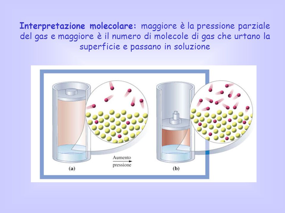Interpretazione molecolare: maggiore è la pressione parziale del gas e maggiore è il numero di molecole di gas che urtano la superficie e passano in soluzione