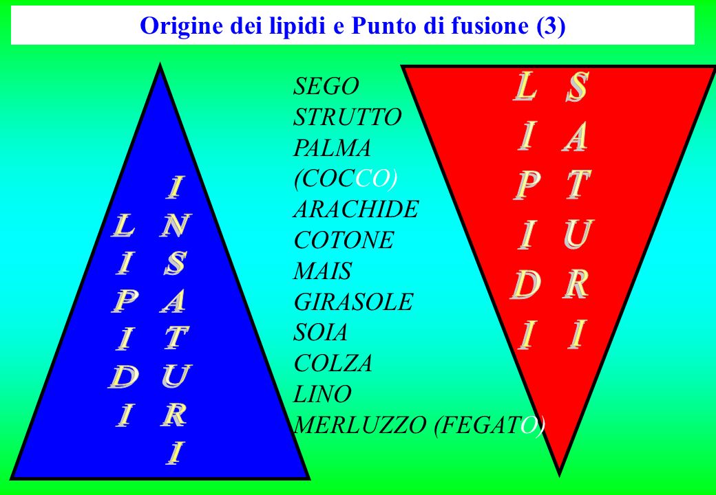 Origine dei lipidi e Punto di fusione (3)