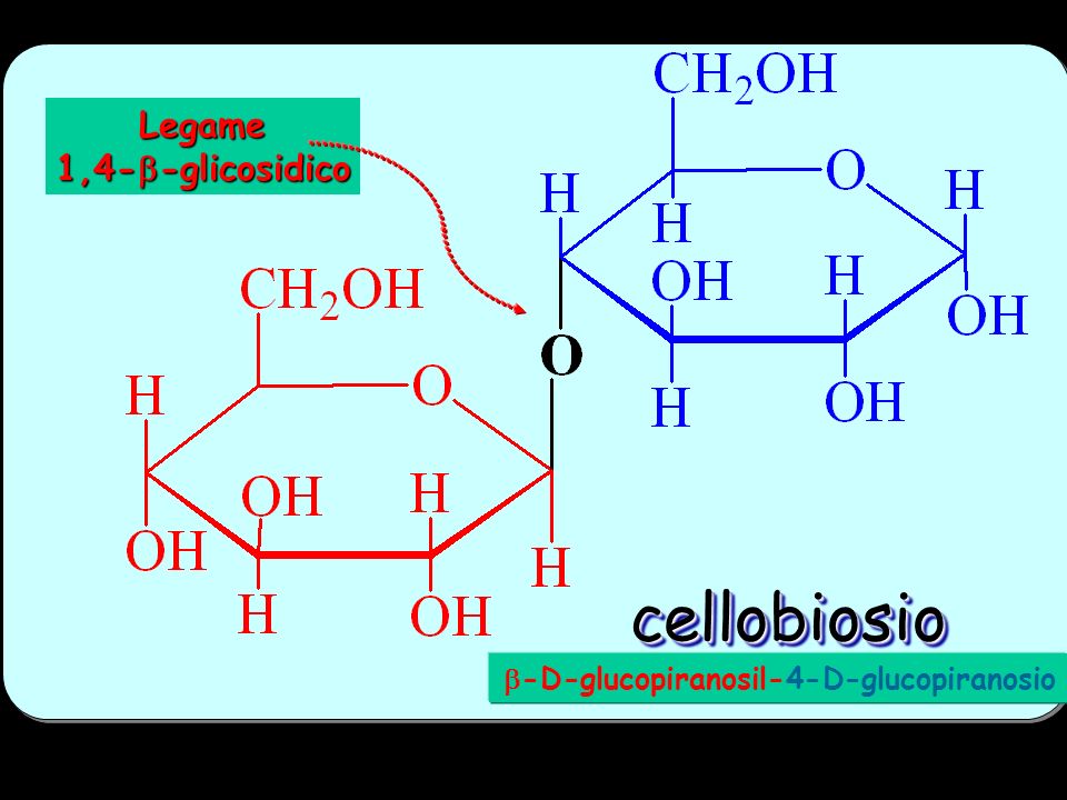 cellobiosio Legame 1,4-b-glicosidico