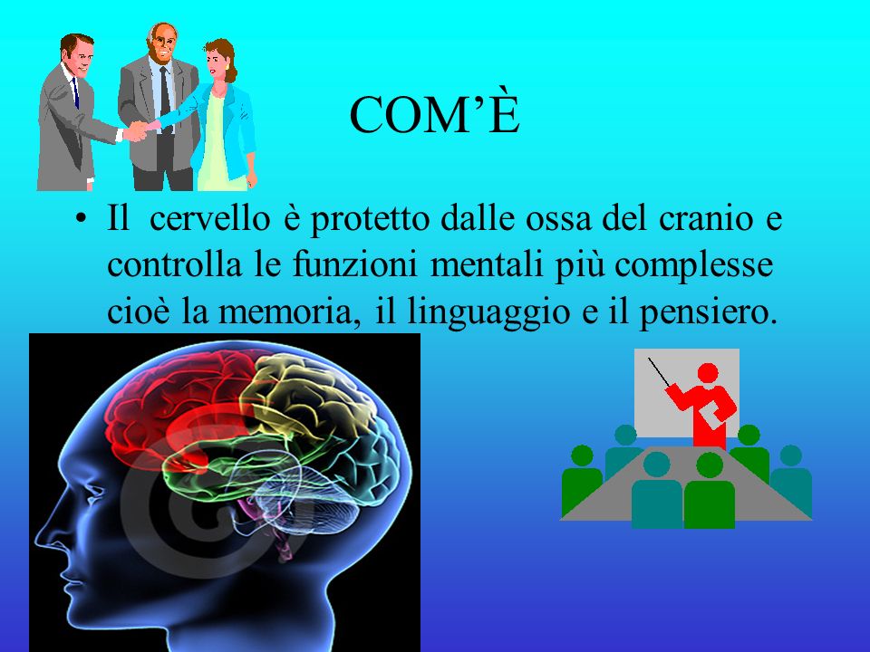 COM’È Il cervello è protetto dalle ossa del cranio e controlla le funzioni mentali più complesse cioè la memoria, il linguaggio e il pensiero.