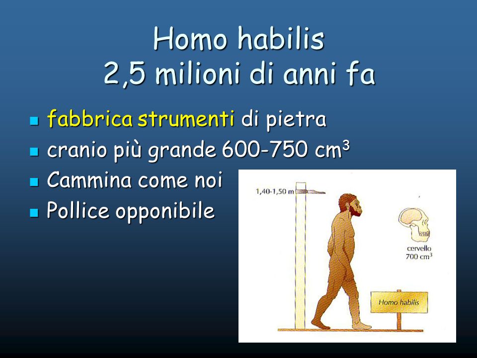 Homo habilis 2,5 milioni di anni fa