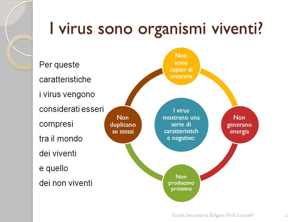 I virus sono organismi viventi