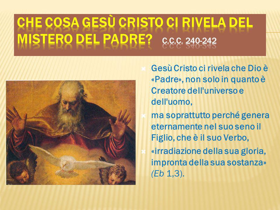 Che cosa Gesù Cristo ci rivela del mistero del Padre C.C.C