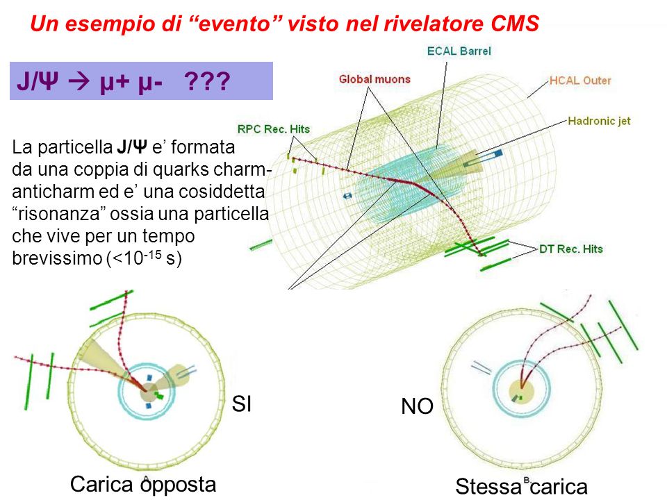 J/Ψ  μ+ μ- Un esempio di evento visto nel rivelatore CMS SI SI